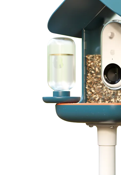 Water fountain and Universal mount