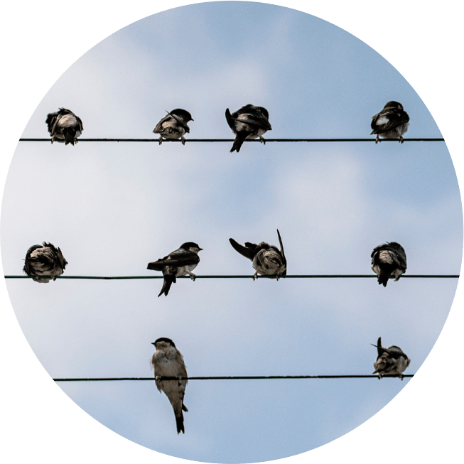 Enjoy the beauty of <em>nature</em>