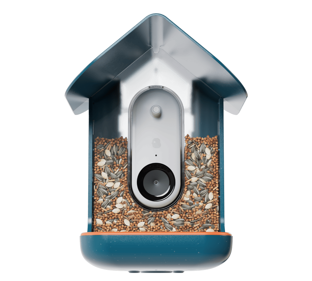 Smart Bird Feeder PRO - Design