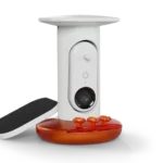 Smart Hummingbird Feeder Pro Solar