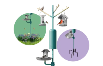 Nature Station Essential